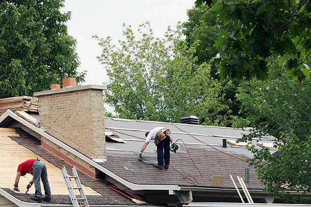 Roof Gutter Cleaning in Penn Valley, CA